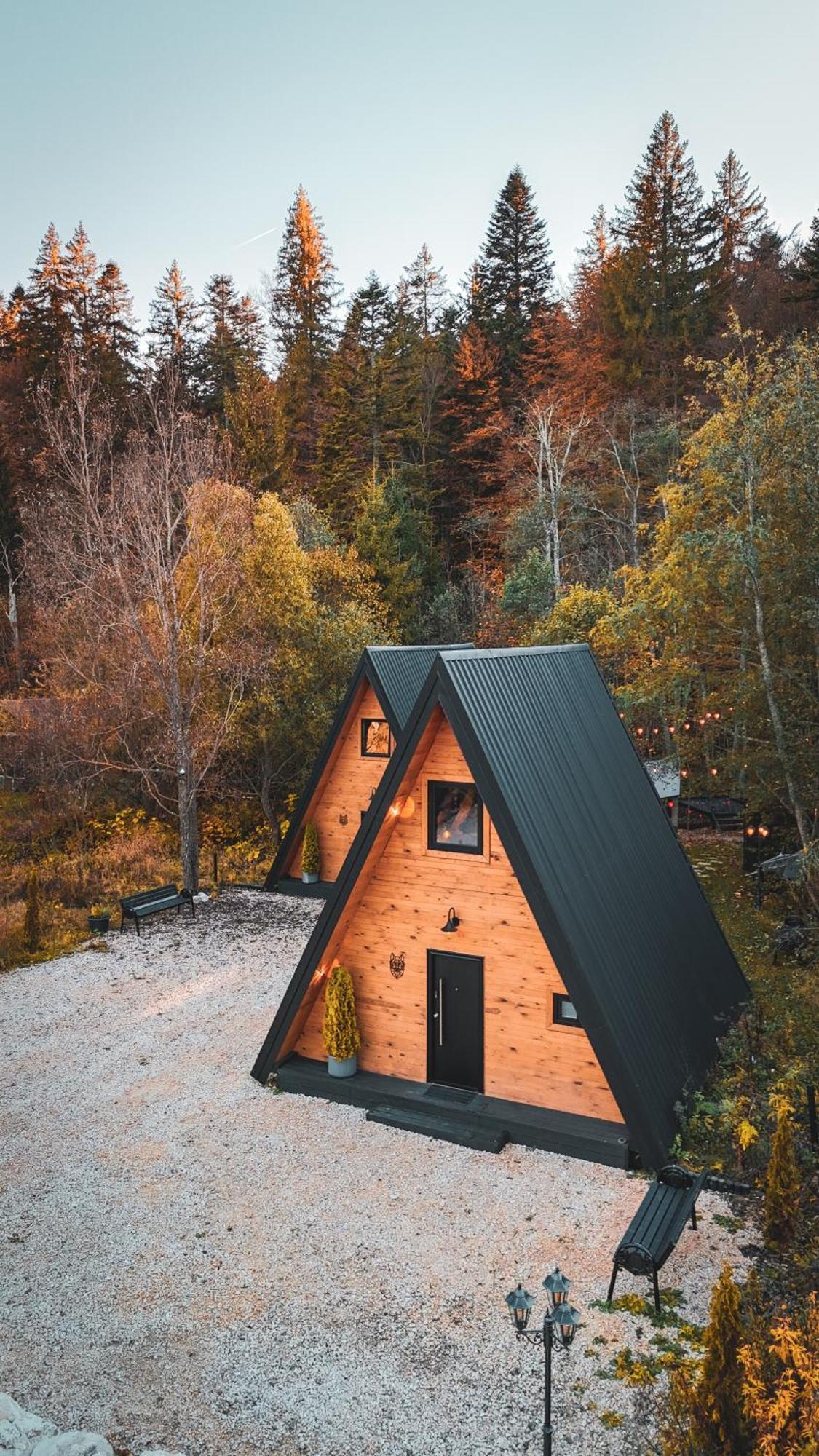 The Palo Cabins Predeal Eksteriør billede